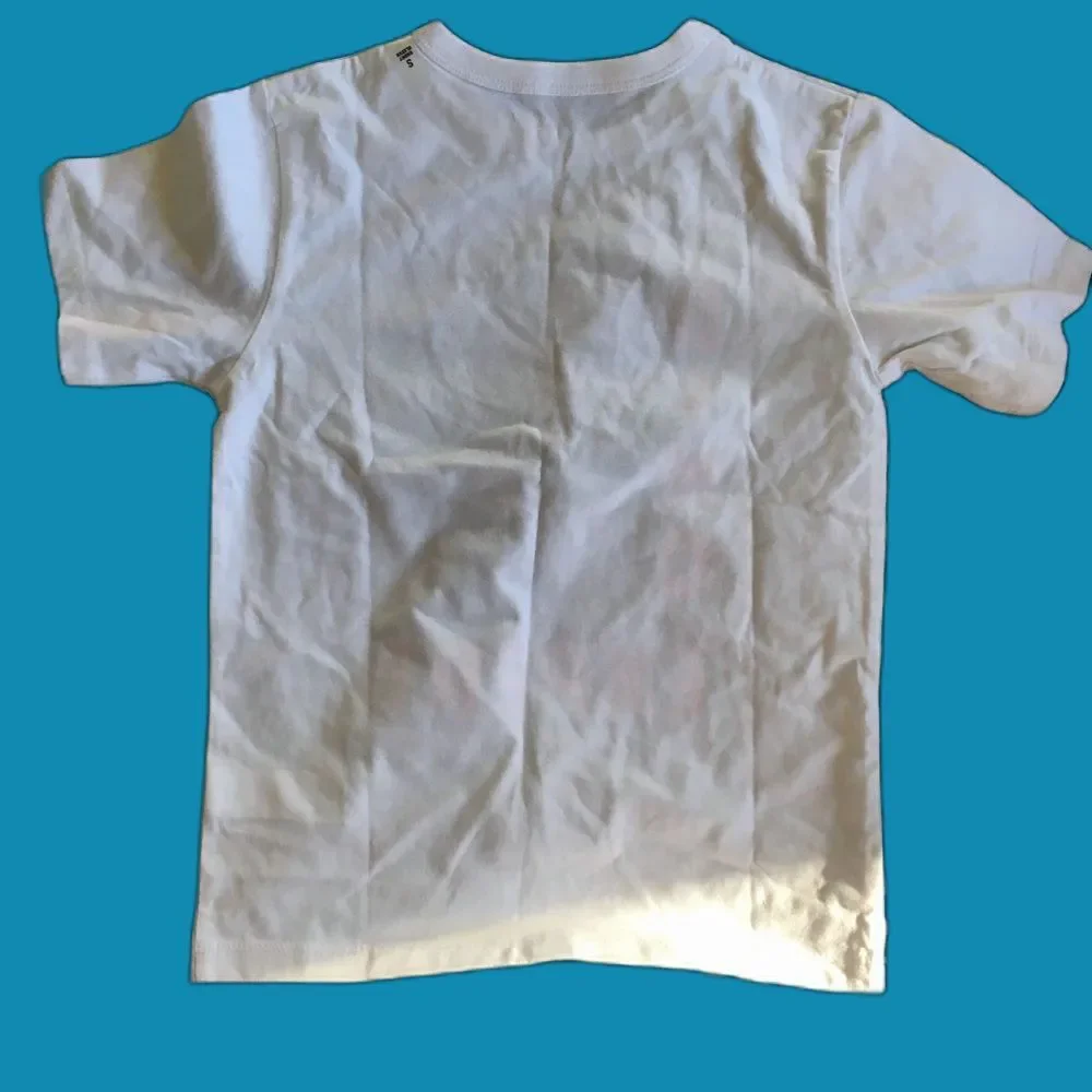 Dinosaur Shirt